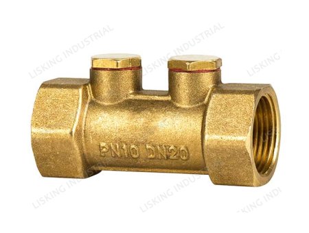 LSK-VL605  Anti-contamination valve (ZAWÓR ZWROTNY ANTYSKAŻENIOWY)				
